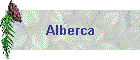 Alberca