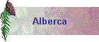 Alberca